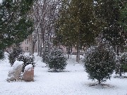 zima_v_Bahoriston (1)