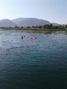 20160713_171948_resized.jpg