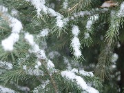 zima_v_Bahoriston (6)