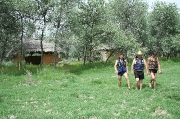IMG_4784.JPG