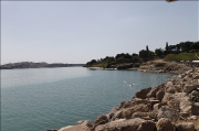 _MG_0223.PNG