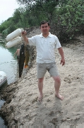 IMG_4802.JPG