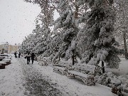 IMG_20171202_084356.jpg