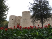 DSCF8553.JPG